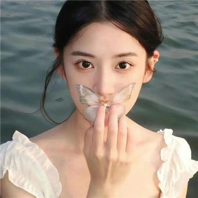 狗狗与我的十个约定